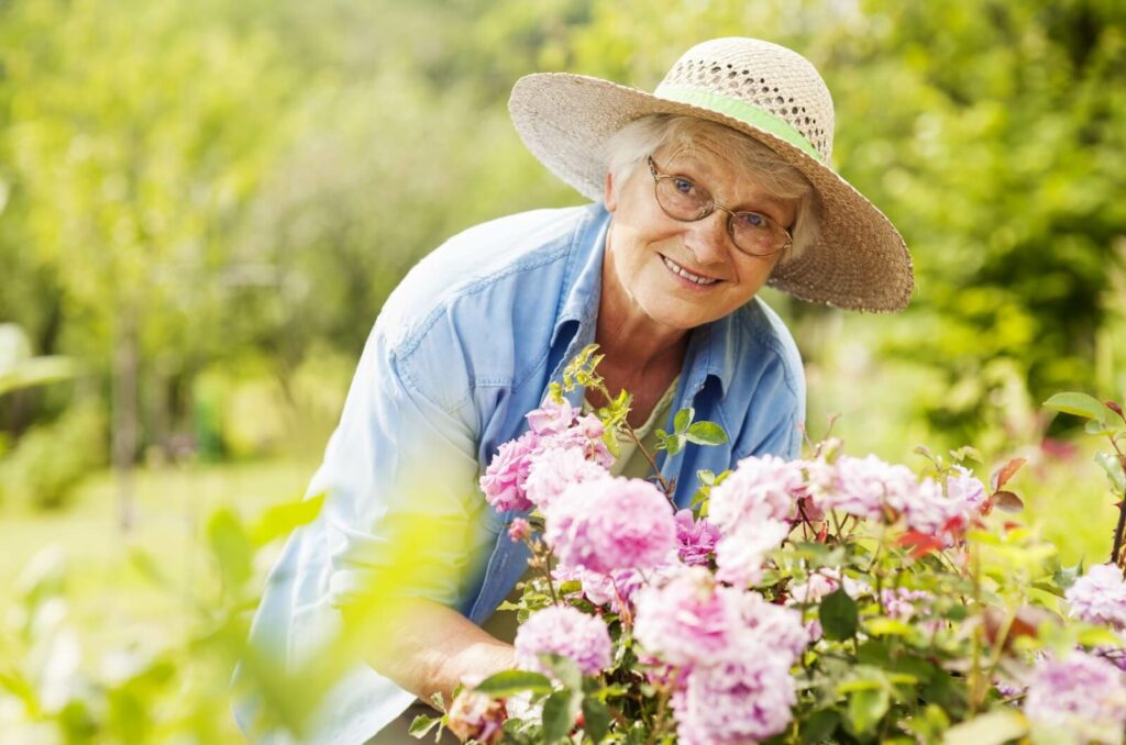An older adult wearing a hat gardening outdoors.